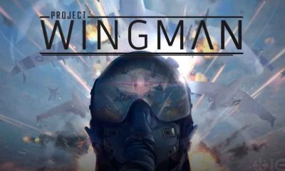 Project Wingman Game